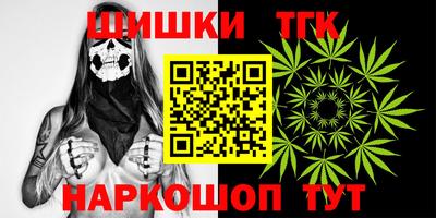 индика Тверь