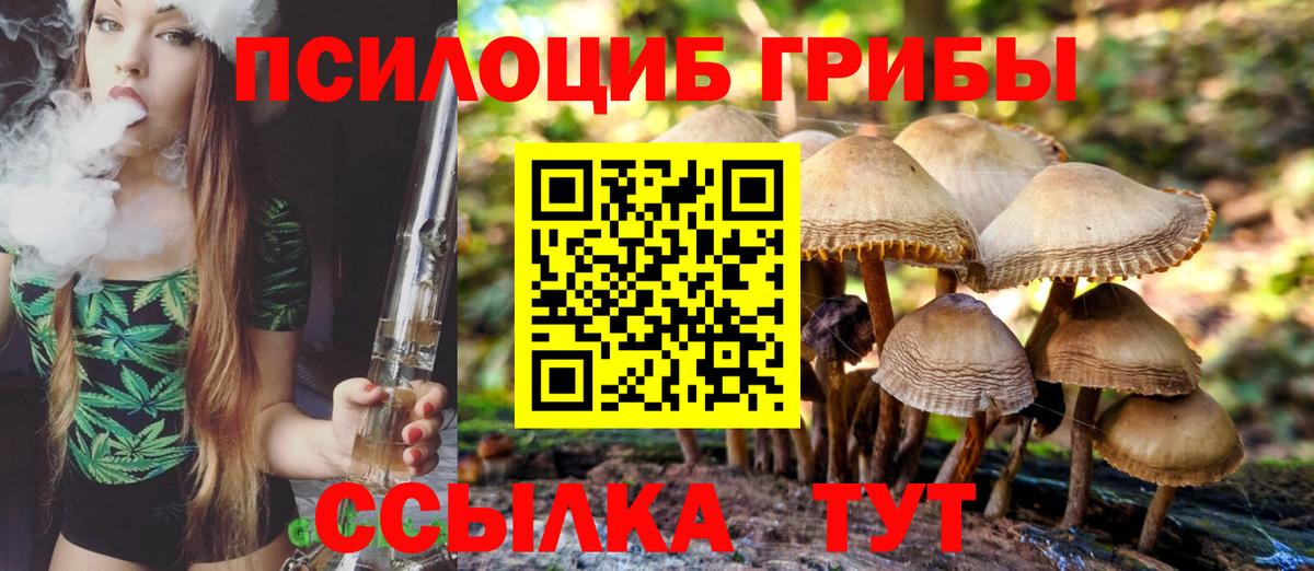 Обнинск  Псилоцибиновые грибы Cubensis  Вход с VPN 