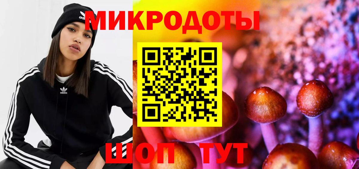 Псилоцибиновые грибы прущие грибы Обнинск
